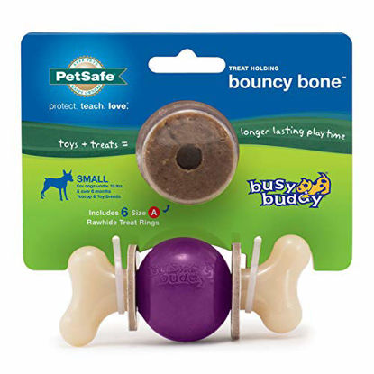 Picture of PetSafe Busy Buddy Bouncy Bone Dog Chew Toy - Small