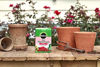 Picture of Miracle-Gro 2000221 Water Soluble Plant Food, 1.5-Pounds (Rose Fertilizer), 1.5 lb