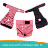Picture of Paw Legend Reusable Female Dog Diapers(3 Pack,Small)