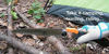 Picture of Folding Hand Saw Wood Saw Multi -Purpose 8" Triple Cut Carbon Steel Blade - Premium Folding Saw w/Gear Lock for Security - Ergonomic No-Slip Handle - Rugged Strength & Durability for Camping, Hiking