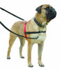 Picture of The Company of Animals Halti Front Control Harness, Large, Black/Red (LH03)