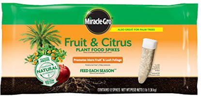 Picture of Miracle-Gro Fruit & Citrus Plant Food Spikes, 12 Spikes