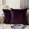 Picture of MIULEE Pack of 2 Velvet Pillow Covers Decorative Square Pillowcase Soft Solid Eggplant Purple Cushion Case for Sofa Bedroom Car 22 x 22 Inch 55 x 55 cm