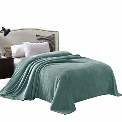 https://www.getuscart.com/images/thumbs/0465015_exclusivo-mezcla-queen-size-flannel-fleece-velvet-plush-bed-blanket-as-bedspreadcoverletbed-cover-90_415.jpeg