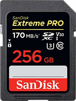 Picture of SanDisk 256GB Extreme PRO SDXC UHS-I Card - C10, U3, V30, 4K UHD, SD Card - SDSDXXY-256G-GN4IN
