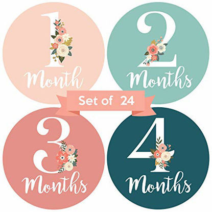 Picture of Baby Monthly Stickers | Floral Baby Milestone Stickers | Newborn Girl Stickers | Month Stickers for Baby Girl | Baby Girl Stickers | Newborn Monthly Milestone Stickers (Set of 24)