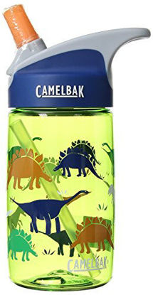 Picture of CamelBak Eddy Kids Bottle, Dinorama, .4 L