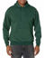 Picture of Hanes mens Pullover Ecosmart Fleece Hooded Sweatshirt,Deep Forest,X-Large