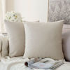 Picture of MIULEE Pack of 2, Velvet Soft Solid Decorative Square Throw Pillow Covers Set Cushion Cases Pillowcases for Couch Sofa Bedroom Car18 x 18 inch 45 x 45cm