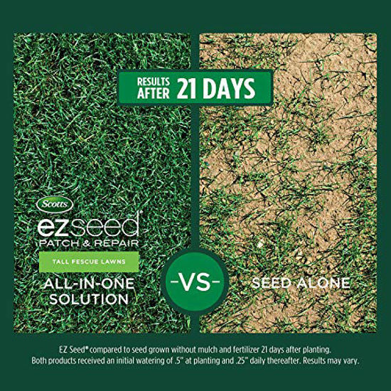GetUSCart Scotts EZ Seed Patch & Repair Tall Fescue Lawns 10 lb