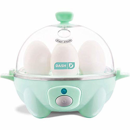 dash dmw100wp