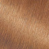 Picture of Garnier Nutrisse Nourishing Hair Color Creme, 73 Dark Golden Blonde (Honey Dip) (Packaging May Vary)