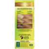 Picture of Garnier Nutrisse Nourishing Hair Color Creme, 73 Dark Golden Blonde (Honey Dip) (Packaging May Vary)
