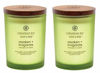 Picture of Chesapeake Bay Candle Scented Candles, Awaken + Invigorate (Lemongrass Eucalyptus), Medium (2-Pack), 2 Count