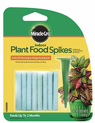 Picture of Miracle-Gro Indoor Plant Food Spikes, Includes 24 Spikes - Continuous Feeding for all Flowering and Foliage Houseplants - NPK 6-12-6