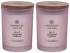 Picture of Chesapeake Bay Candle PT31914-2 Scented Candles, Joy + Laughter (Cranberry Dahila), Medium (2-Pack)
