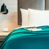 Picture of Bedsure Fleece Blanket Throw Size Teal Lightweight Super Soft Cozy Luxury Bed Blanket Microfiber