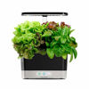 Picture of AeroGarden Heirloom Salad Greens Seed Pod Kit, 6
