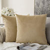 Picture of MIULEE Pack of 2, Velvet Soft Solid Decorative Square Throw Pillow Covers Set Cushion Case for Sofa Bedroom Car 20 x 20 Inch 50 x 50 cm
