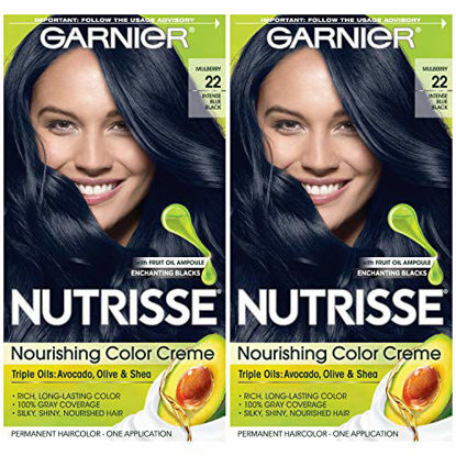 Picture of Garnier Hair Color Nutrisse Nourishing Creme, 22 Intense Blue Black, 2 Count