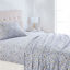 Picture of Amazon Basics Microfiber Sheet Set, Twin, Blue Floral