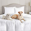 Picture of Nestl Duvet Cover 3 Piece Set - Ultra Soft Double Brushed Microfiber Hotel-Quality - Comforter Cover with Button Closure and 2 Pillow Shams, Beach Blue - Queen 90"x90"
