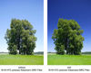 Picture of B + W Circular Polarizer Kaesemann - Standard Mount (F-PRO), HTC, 16 Layers Multi-Resistant Coating, Photography Filter, 72 mm