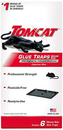 Picture of Tomcat Glue Traps Mouse Size with Eugenol for Enhanced Stickiness, Captures Mice and Other Household Pests, Professional Strength, Pesticide-Free and Ready-to-Use, 6 Glue Traps
