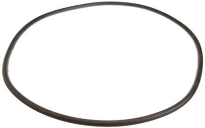 Picture of Pentair 24850-0008 21-Inch Cord O-Ring for Tank Replacement for Select Sta-Rite Pool and Spa Filters