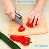 Picture of Pro Dough Pastry Scraper/Cutter/Chopper Stainless Steel Mirror Polished with Measuring Scale Multipurpose- Cake, Pizza Cutter - Pastry Bread Separator Scale Knife (1)