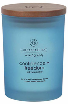 Picture of Chesapeake Bay Candle Scented Candle, Confidence + Freedom (Oak Moss Amber), Medium