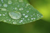 Picture of Panasonic Lumix DMC-FZ2500 10x High Definition 2 Element Close-Up (Macro) Lens (67mm)