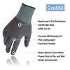Picture of DEX FIT Level 5 Cut Resistant Gloves Cru553, 3D Comfort Stretch Fit, Durable Power Grip Foam Nitrile, Pass FDA Food Contact, Smart Touch, Thin Machine Washable, Black Grey X-Large 1 Pair