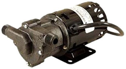 Picture of March Pump - Polysulfone 230V