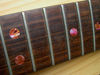 Picture of Inlay Sticker Fret Markers for Guitars & Bass - Custom Dots Set - Abalone Red