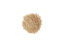 Picture of Torrified Wheat - 5 lb Bag