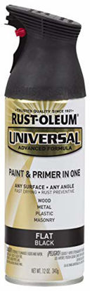 Picture of Rust-Oleum 245198 Surface, 12 oz, Flat Black Universal Enamel Spray Paint