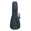 Picture of HOT SEAL 10MM Sponge Padding Durable Colorful ukulele Case Bag with Storage (21 in, Black honeycomb)