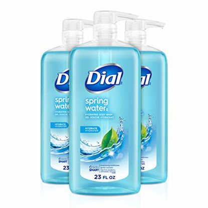 Picture of Dial Body Wash, Spring Water, 23 Oz (Pack Of 3)