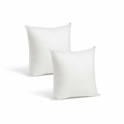 Picture of Set of 2-12 x 12 Premium Hypoallergenic Stuffer Pillow Inserts Sham Square Form Polyester, Standard/White - Made in USA