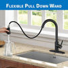 Picture of Black Kitchen Faucet, Kitchen Faucets with Pull Down Sprayer WEWE Commercial Stainless Steel Single Handle Single Hole Kitchen Sink Faucet