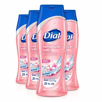Picture of Dial Body Wash, Himalayan Salt, 21 Ounce (Pack of 4)