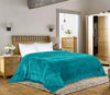 Picture of Utopia Bedding Fleece Blanket Queen Size Turquoise 300GSM Luxury Bed Blanket Fuzzy Soft Blanket Microfiber