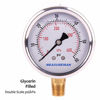 Picture of Measureman 2-1/2" Dial Size, Liquid Filled Pressure Gauge, 0-60psi/kpa, 304 Stainless Steel Case, 1/4"NPT Lower Mount