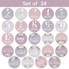 Picture of Baby Monthly Stickers | Floral Baby Milestone Stickers | Newborn Girl Stickers | Month Stickers for Baby Girl | Baby Girl Stickers | Newborn Monthly Milestone Stickers (Set of 24)