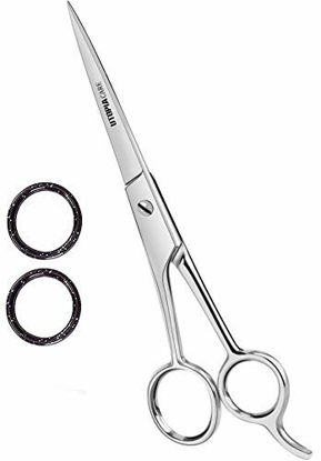 Picture of Professional Barber Hair Cutting Scissors/Shears (Silver)