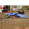 Picture of B-Air Grizzly Tarps - Large Multi-Purpose, Waterproof, Heavy Duty Tarp Poly Cover - 5 Mil Thick (Blue - 15 x 15 Feet)