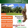 Picture of Glycerin Vegetable - 1 Gallon (10.75 lbs or 172oz net wt) - Non GMO - RSPO - Sustainable Palm Based - USP - KOSHER - PURE - Pharmaceutical Grade - safety sealed HDPE container with resealable cap