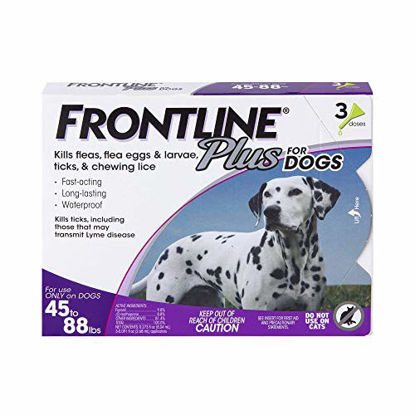 Picture of Frontline Plus Flea and Tick Treatment for Dogs (Large Dog, 45-88 Pounds, 3 Doses)