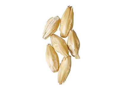 Picture of Malt - Rahr 2-Row - 5 lb